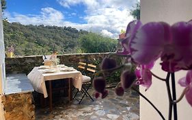 Alojamiento La Casa del Pintor